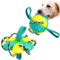 Best Dog Toys for Aggressive Chewers (Vet-Approved Picks)